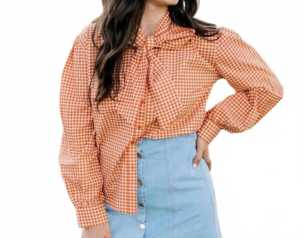 NEW LAYERZ CLOTHING sadie gingham long sleeve top in burnt orange